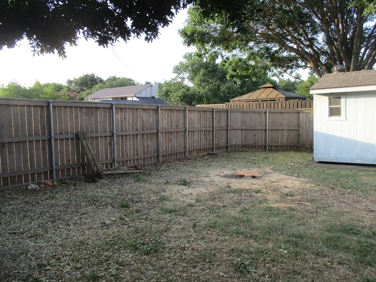 Cleared yard after professional tree removal in Hancock