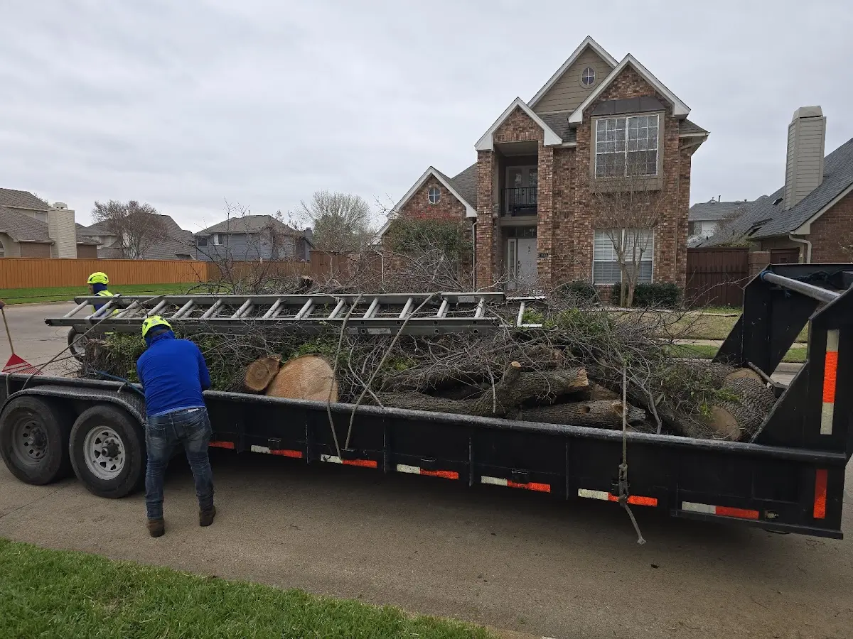 Expert Lot Clearing with proper safety equipment in Hancock